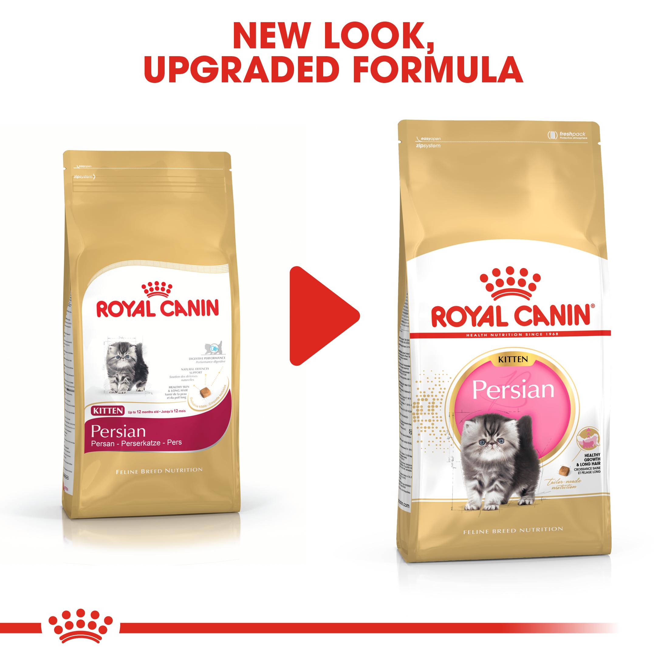 Royal canin persian kitten food hotsell